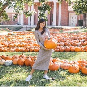 ❤️ Blogger’s Favorite taupe sweater dress